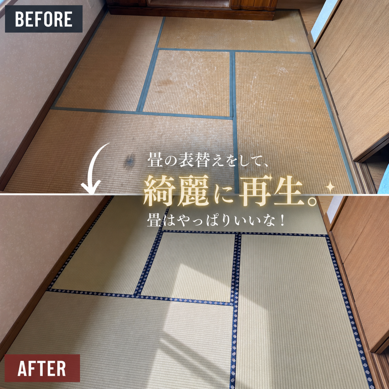 【畳の表替え・畳交換 承ります】の画像